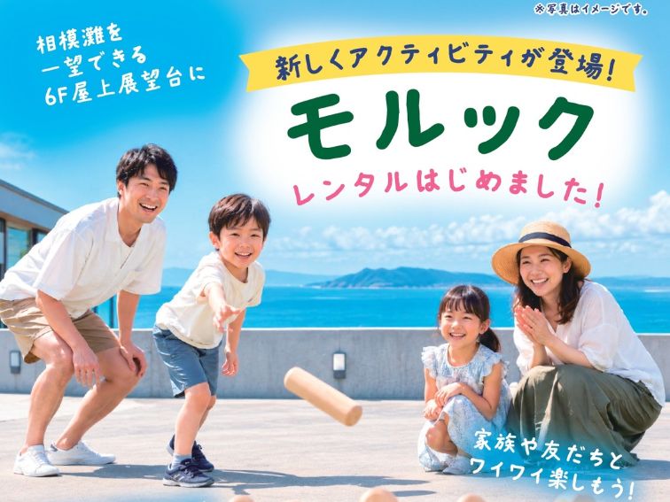モルックレンタル始めました